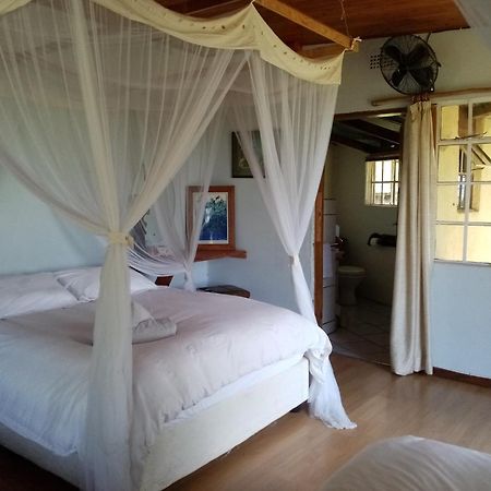 Bushwhacked Barberton Hotel Kamer foto