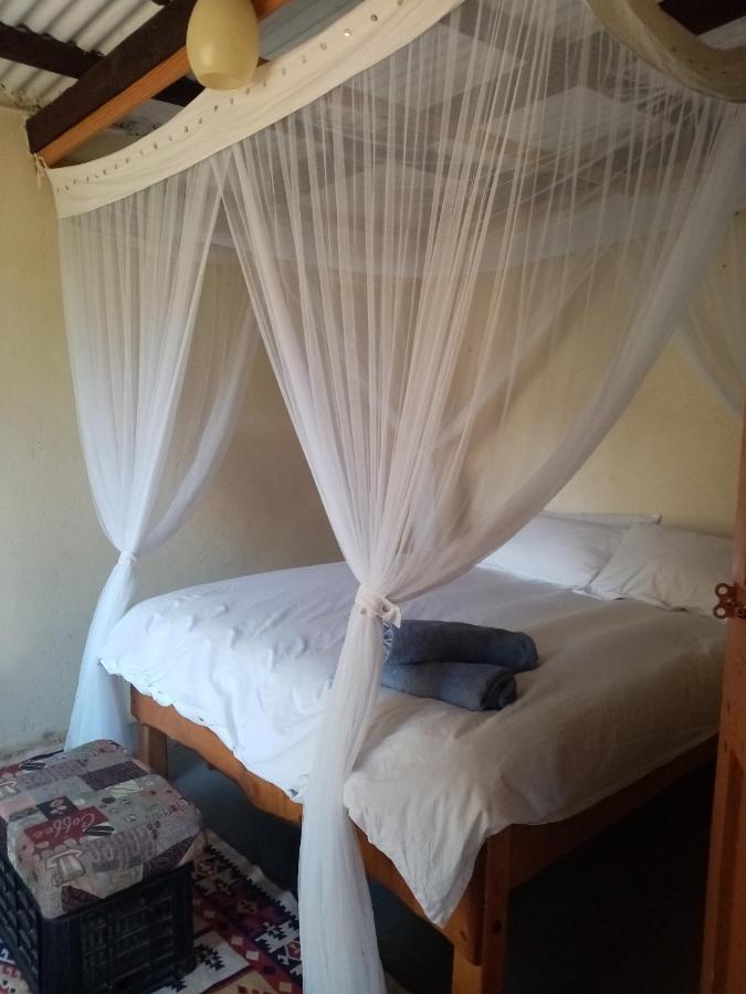 Bushwhacked Barberton Hotel Buitenkant foto