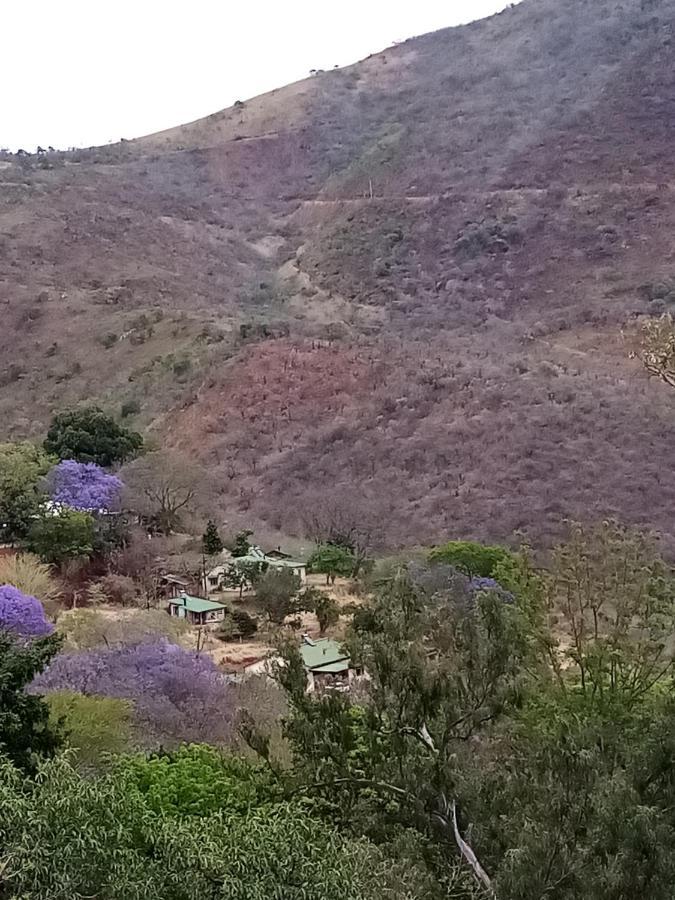 Bushwhacked Barberton Hotel Buitenkant foto