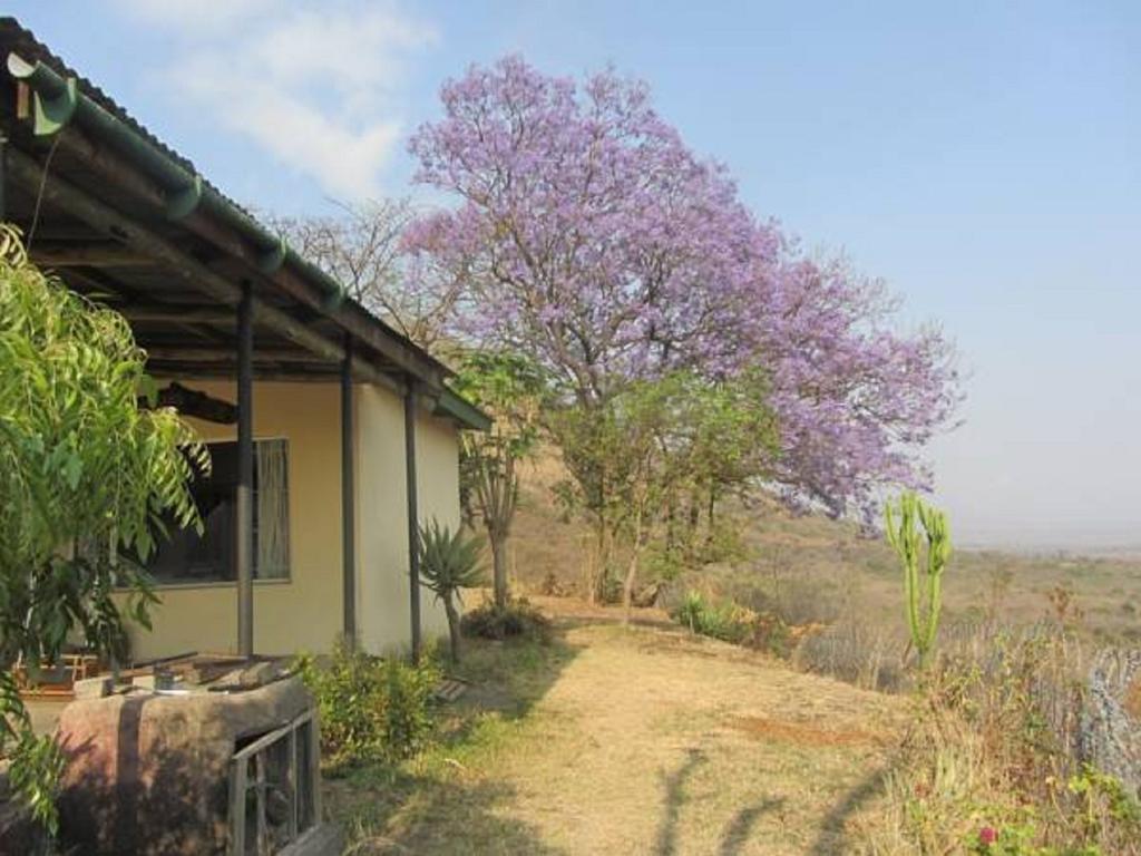 Bushwhacked Barberton Hotel Buitenkant foto