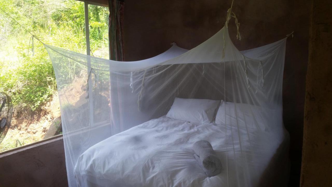 Bushwhacked Barberton Hotel Buitenkant foto